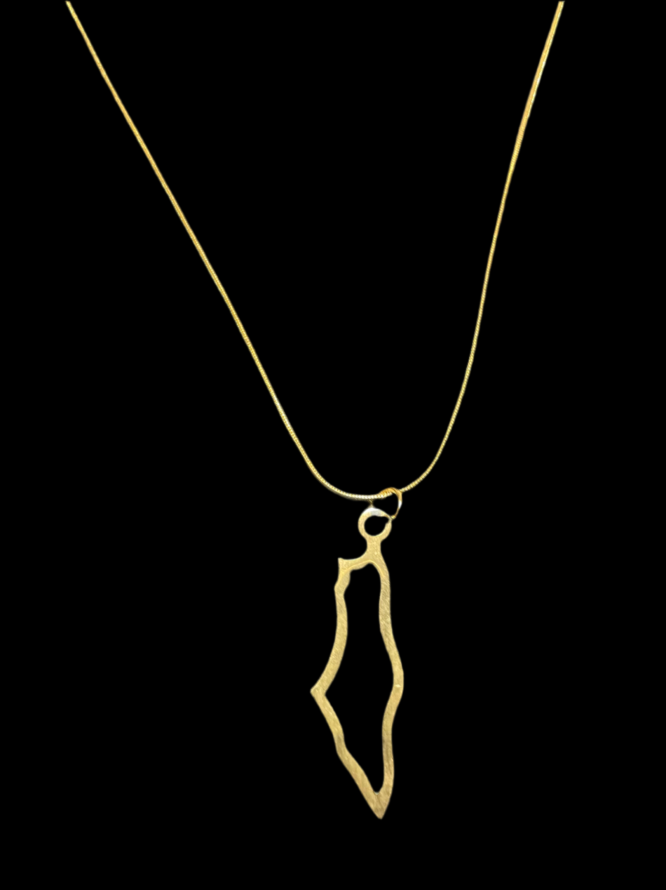 Palestine Map Pendant Necklace - gold