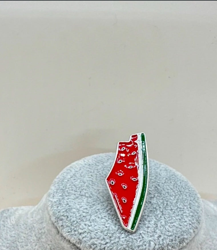 Pin