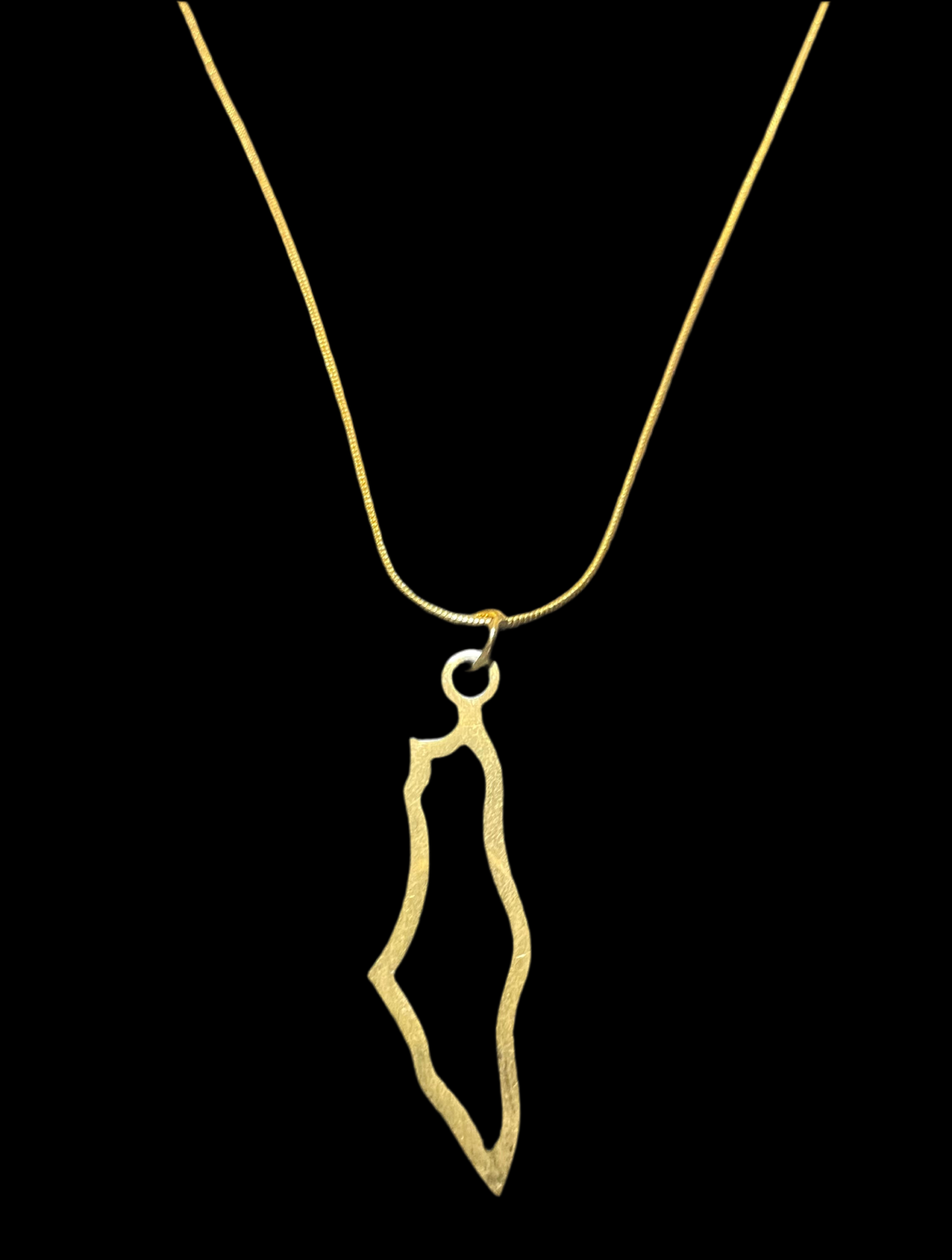 Palestine Map Pendant Necklace - gold