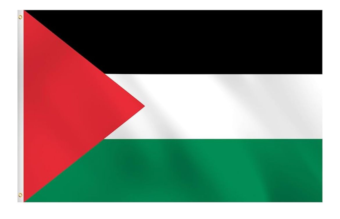 Palestine Flag-  Large