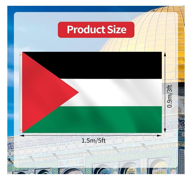 Palestine Flag-  Large